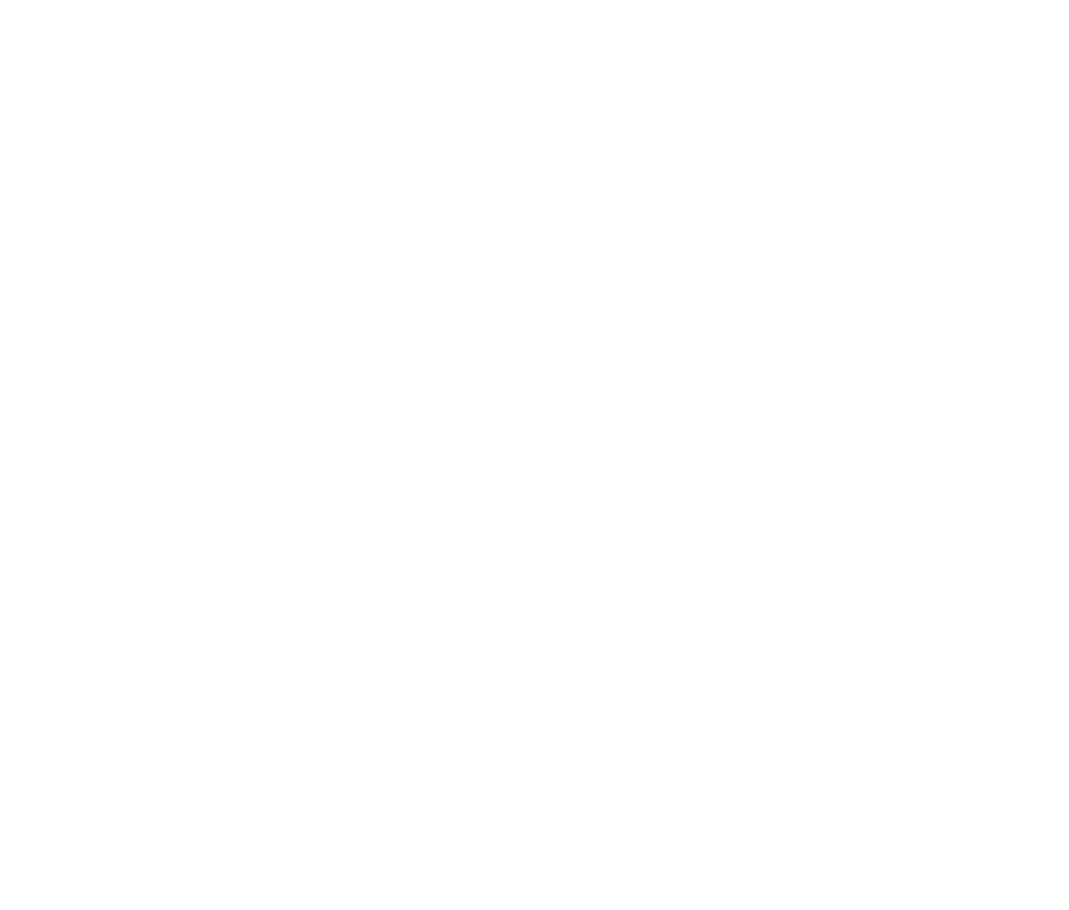 Logo_FSP_weiss